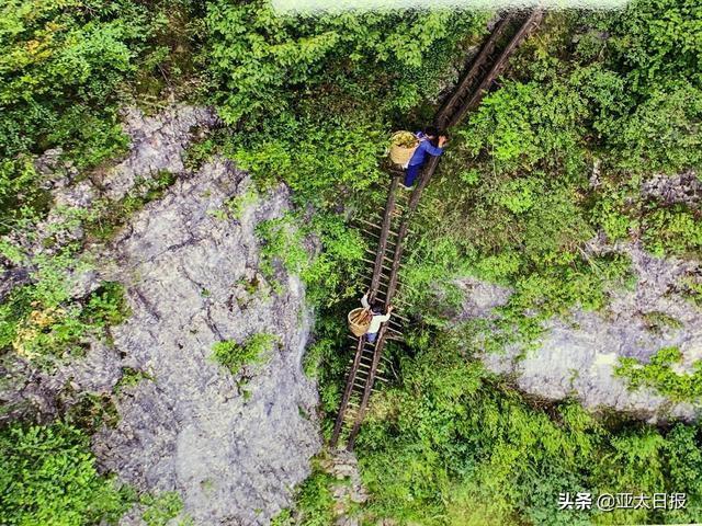 下载 (1).jpg